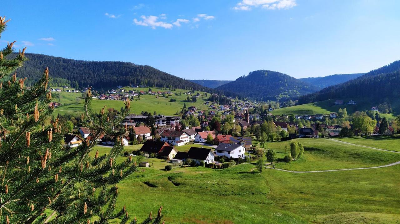 Ferienwohnung, Sauna & Gaestekarte Gratis Im Schwarzwald Baiersbronn Exterior foto